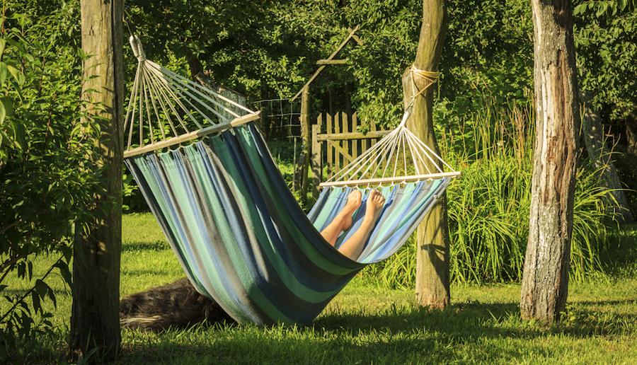 summer hammock summer hammock