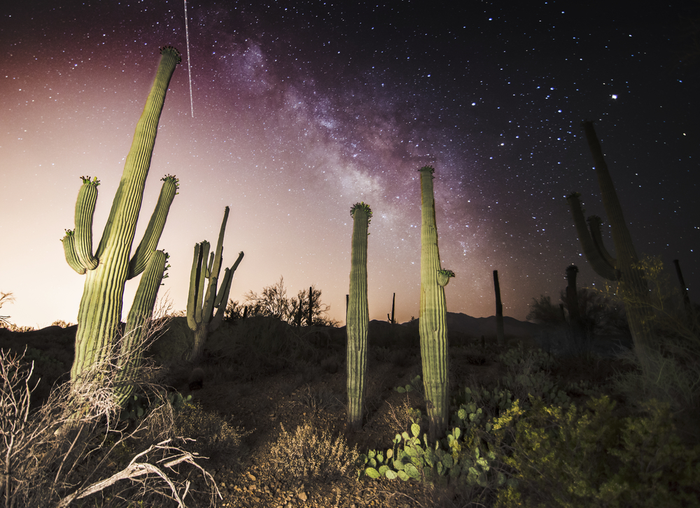 night hiking in Arizona night hiking in Arizona